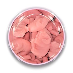 Jelly Pink Pigs