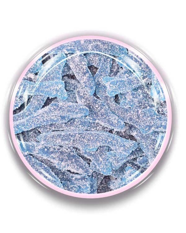 Fizzy Blue Sharks