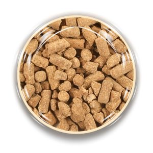 100g Orange Choc Nibbles