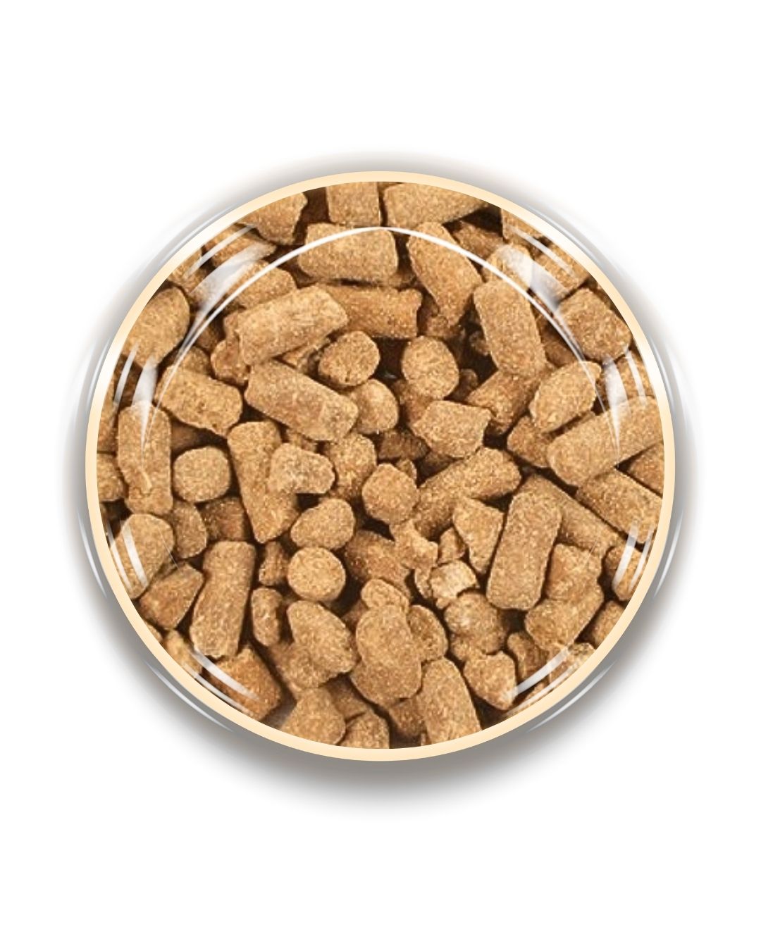 100g Orange Choc Nibbles
