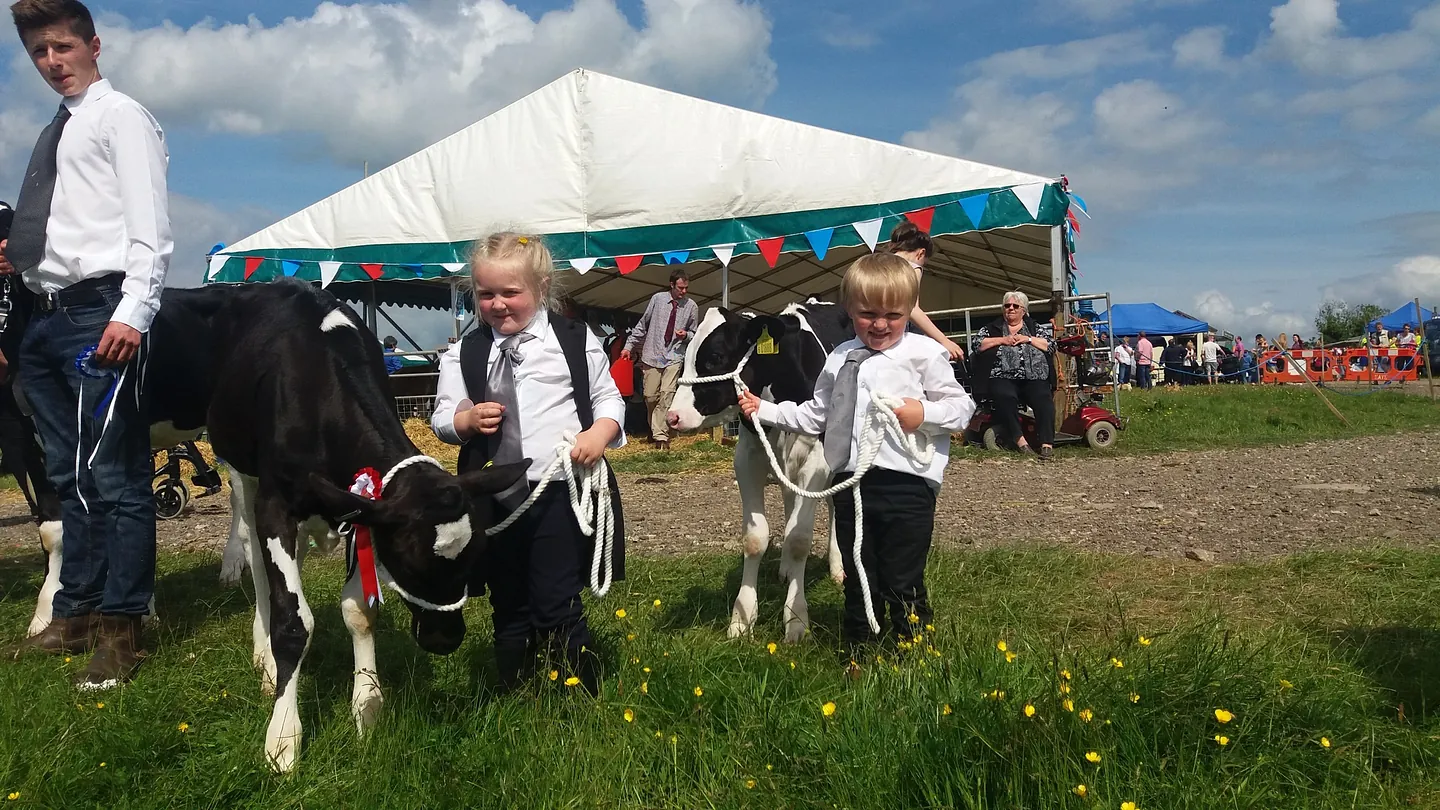 Farm Team